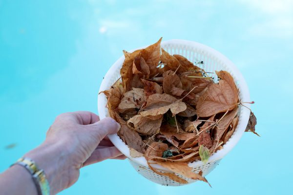Maintaining Your Pool After Rain & Flooding