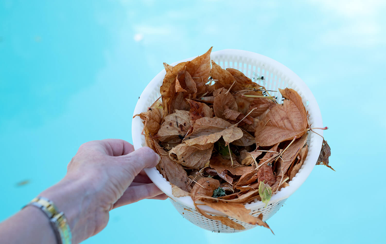 Maintaining Your Pool After Rain & Flooding